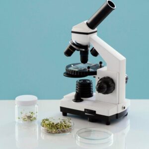 Microscope